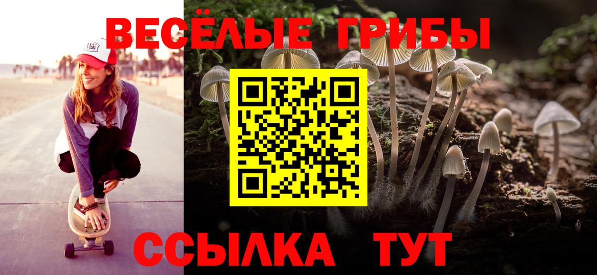 Севастополь  Галлюциногенные грибы Magic Shrooms  Вход с VPN  Псилоцибиновые грибы GOLDEN TEACHER 